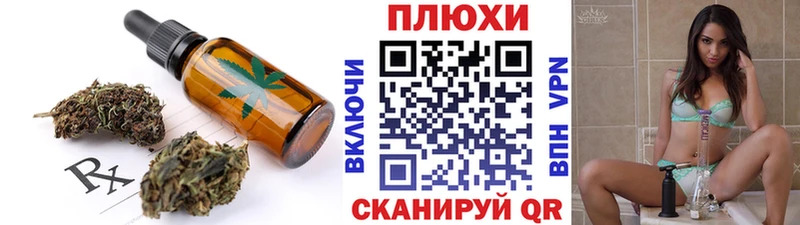 Canna-Cookies конопля  как найти   Судогда 