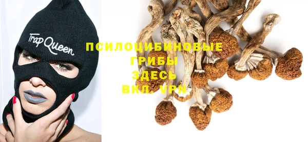 ALPHA-PVP Абинск